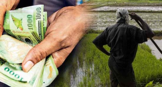 මාස 6කින් ලබා නොගත් ගොවි විශ්‍රාම වැටුප්වලට වෙන දේ